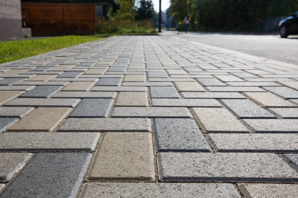 Best Driveway Pavers Cost  in Walterboro, SC