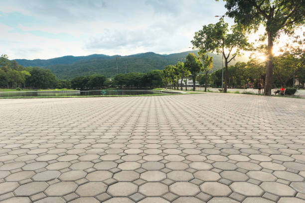 Best Commercial Driveway Pavers  in Walterboro, SC