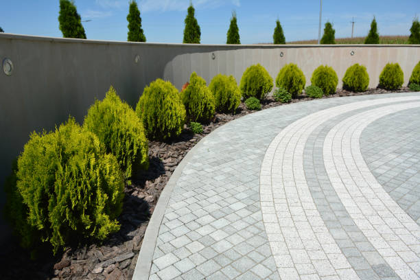 Best Residential Driveway Paver Services  in Walterboro, SC